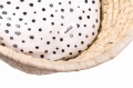 140_MalomiKids_large.JPG