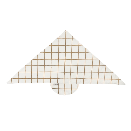 camel check.jpg