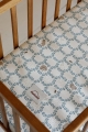 image00001.jpeg