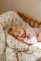 image00058.jpeg