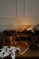 image00007.jpeg
